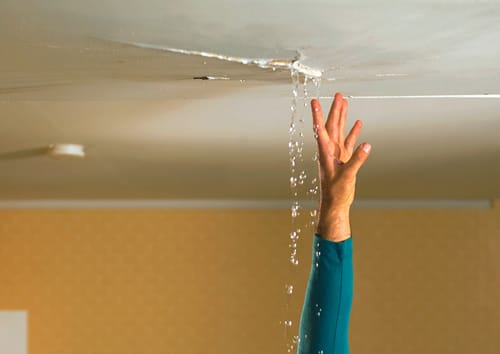 What are the signs your business has water damage?